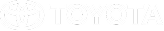 Toyota 1